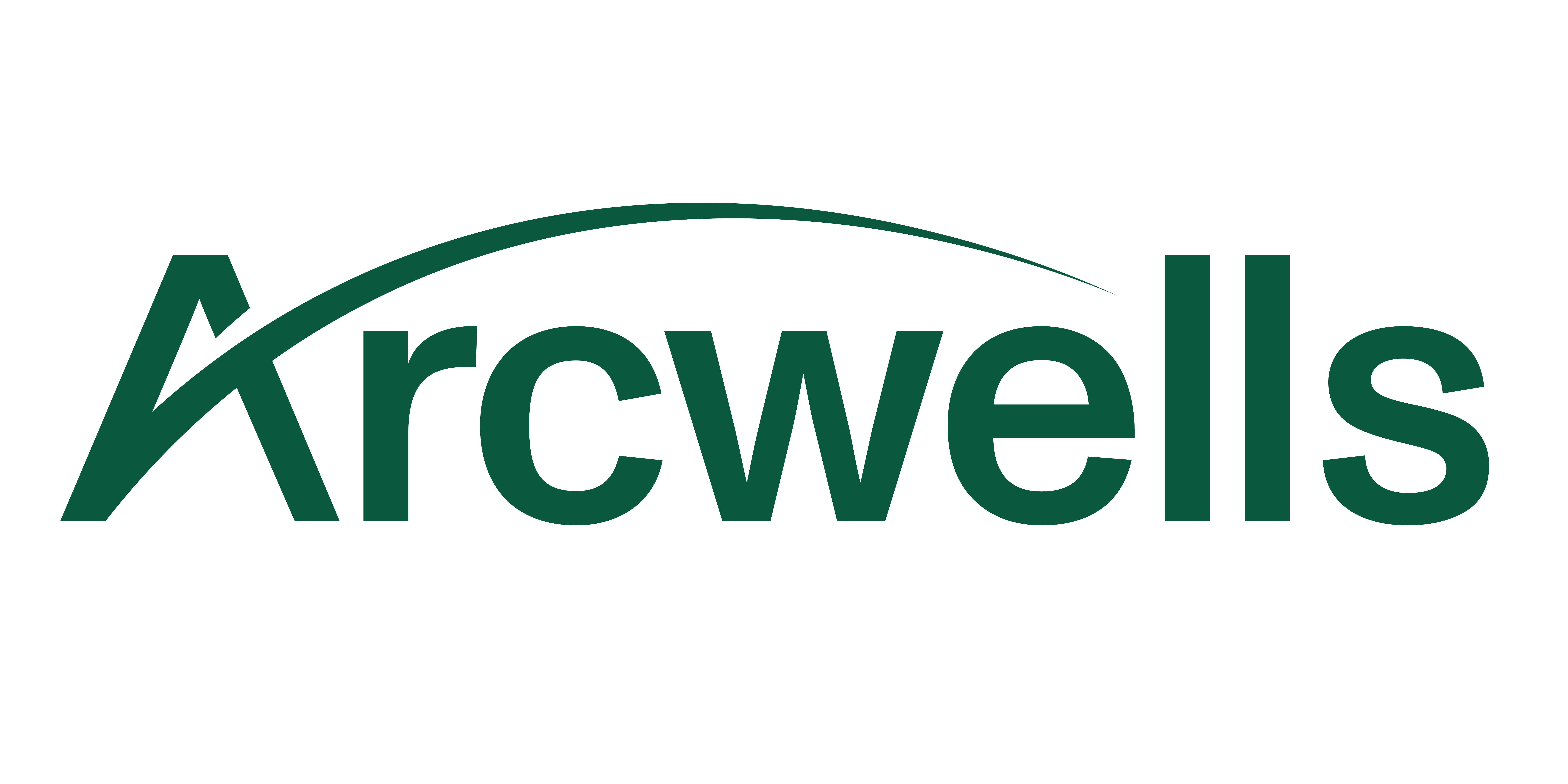 Arcwells Chartered Accountants